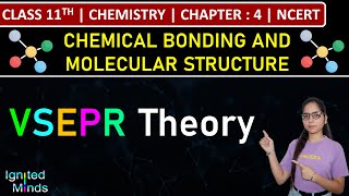 Class 11th Chemistry  VSEPR Theory  Chapter 4 Chemical Bonding amp Molecular Structure  NCERT [upl. by Norvall]