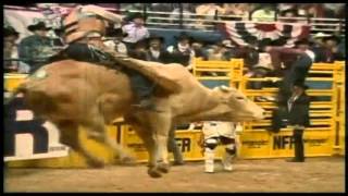 PBR TUFF HEDEMAN On BODACIOUS [upl. by Yraunaj380]