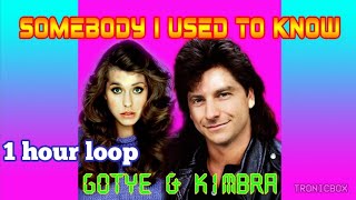 80s Remix Tronicbox quotSomebody That I Used To Knowquot Gotye 1 hour loop [upl. by Ahsiuqel511]