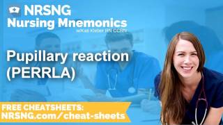 Pupillary reaction PERRLA Nursing Mnemonics Nursing School Study Tips [upl. by Naic897]