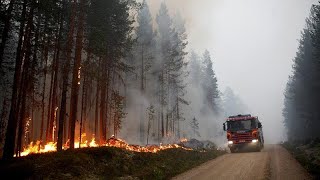 Historische Waldbrände in Schweden [upl. by Vetter]