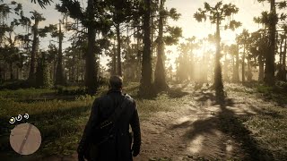 Xbox One X Red Dead Redemption 2 4k Gameplay [upl. by Arihat]