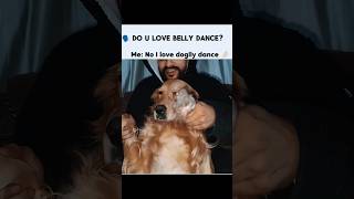 Belly dance ❌ Doggy dance ✅ lailatheretriever goldenretriever bellydance winter love ytshorts [upl. by Verge]