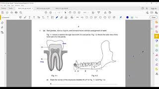 Solving Biology past paper 061042MJ18 [upl. by Dale]