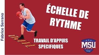 Travail dappuis spécifiques basket sur échelle de rythme par Fabrice Serrano [upl. by Waddell]