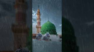 Mashallah Islamic video viral🤗 [upl. by Thorley277]