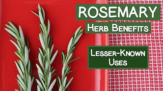 Rosemary Herb Benefits Less Commonly Known Folk Uses [upl. by Schouten]