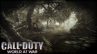 Call of Duty World at Wars quotHard Landingquot Soundtrack [upl. by Ehsrop]