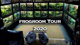 FROGROOM TOUR 2020 THE ROOM IS FINALLY DONE [upl. by Hanas]