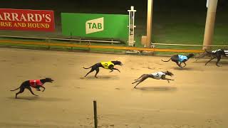 Rockhampton06112024Race2 [upl. by Attennot]