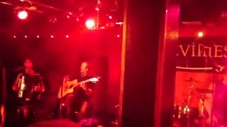 Ensiferum  Wanderer acoustic ft Netta Skog [upl. by Yecnuahc6]