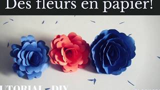 DIY  TUTO Des fleurs en papier [upl. by Trinity]