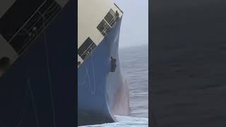 Heroic Rescue of Crew from Massive Transport Ship at Sea [upl. by Birdie736]