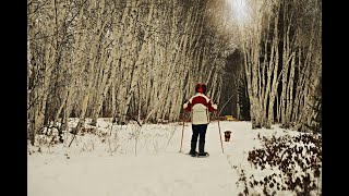 Snowshoeing on the Voyageur Trail in Azilda Ontario [upl. by Eelarual]