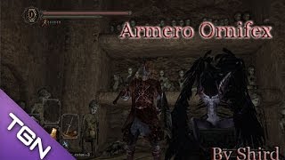 Dark Souls 2 Armero Ornifex [upl. by Fennie321]