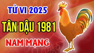 Tử Vi Nam Mạng Tuổi Tân Dậu 1981 Năm 2025 Ất Tỵ [upl. by Matthei312]