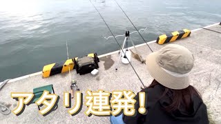 【宮城投げ釣り】いろんな魚種が釣れました [upl. by Aneet]