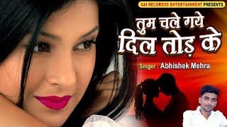 दिल तोड़ के  Tum Chale Gaye Dil Tod Ke  Hindi Sad Songs  PYAR MOHABBAT BEWAFA का सबसे दर्द भरा गीत [upl. by Maire877]