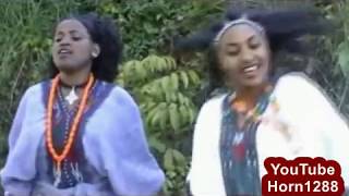 Ethiopian Traditional Music  ዘነበች ታዴ  የአለም የሲሳይ ቤት [upl. by Yrhcaz908]