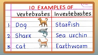 Name  Examples of VERTEBRATES AND INVERTEBRATES  5  10 List of VERTEBRATES AND INVERTEBRATES [upl. by Waltner]