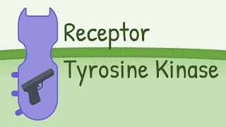 Receptor Tyrosine Kinase  MAPK Pathway [upl. by Galan784]