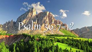 Daily Bible Reading for 102824  Psalm 36712 [upl. by Yorker]