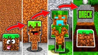 DRECK LEBENSZYZKLUS in Minecraft  Vom GRAS zum GOLEM [upl. by Hentrich]