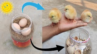 How to hatch eggs at home without incubator  Incubator plastic box help sunlight 100 result [upl. by Nnylatsyrk127]