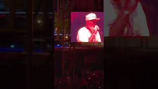 Limp bizkit  gold cobra live at Budweiser Stage LOSERVILLE TOUR 2024 [upl. by Floria]