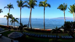 Lahaina Shores Beach Resort Maui  Hawaii [upl. by Laroy626]