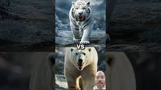 Polar bear vs white animals battle animals lion wildlife polarbear blackpanther [upl. by Urbanus585]