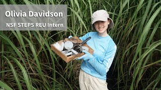 Olivia Davidson  NSF STEPS REU Intern [upl. by Georgeanne]