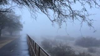 Quick jog through the Tucson fog [upl. by Staten]