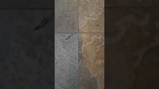 TRAVERTINE FLOOR TRANSFORMATION DEEP CLEANING GROUT SCRUBING AND SEALING PROCESS IN LAS VEGAS [upl. by Bergstrom]