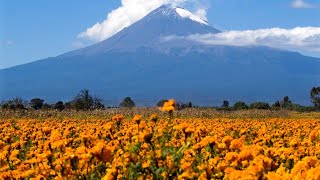 Atlixco Puebla México [upl. by Nilhtac]