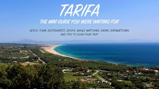 Mini guide of TARIFA Spain  Beach town activities natural parks and clips of wild animals [upl. by Monia]