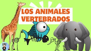 Los animales vertebrados y sus tipos [upl. by Outlaw]