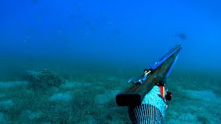 🔱Έπιασα Ένα ΣΠΑΝΙΟ Ψάρι Στο Ψαροντούφεκο  Spearfishing a RARE Fish [upl. by Earb544]