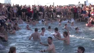 Nytårs Bad Havnebadet Islands Brygge · 2013 [upl. by Bartolome834]