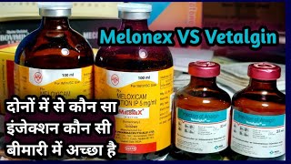 VetinjectionVetalgin VS MeloxicamKonsi Disease mein kab kaseDonu mein better konsa [upl. by Aisayn]