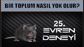 25 EVREN DENEYİ [upl. by Anneyehc]