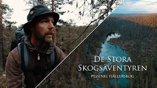 Vandring genom Pessinki  vildmark urskog fiske [upl. by Goldberg]