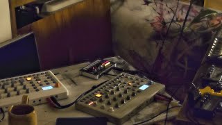 ELEKTRON ModelCycles ＆ ModelSamples 2 [upl. by Omsare618]