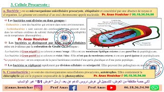 Biologie Cellulaire BCG S1  Chapitre I  Généralités 2ème Partie شرح بالدارجة [upl. by Munson]