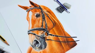 Come disegnare un CAVALLO realistico [upl. by Anitsrihc]