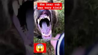 A man found abear cub story animals animallover cute bearanimals animalsforkids animalstr [upl. by Lita]