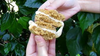 Oat Whoopie Pies oatmeal whoopie pies easiest oat cookie recipe ever  Just Anya [upl. by Nicholl]