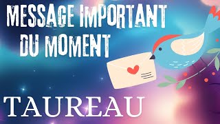 TAUREAU ♉️ MESSAGE IMPORTANT DU MOMENT 🔮💫 [upl. by Jecho]