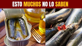 Por qué es Bueno COMER SARDINAS [upl. by Borchert]