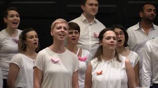 Rock Me Amadeus  London International Choir [upl. by Aehta]